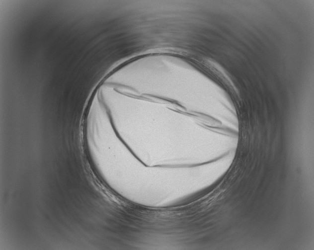 X0000075361292200610061737