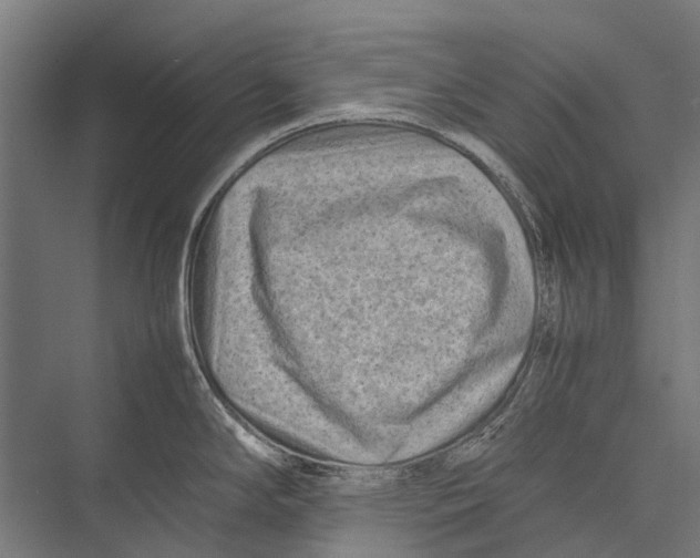 X0000075361294200610061737