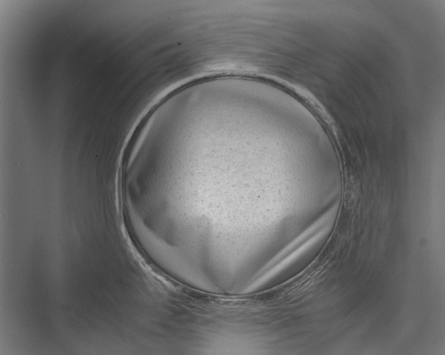 X0000075361295200610061737