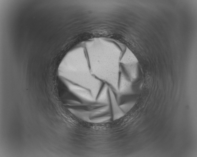 X0000075361297200610061736