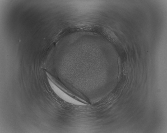 X0000075361298200610061736