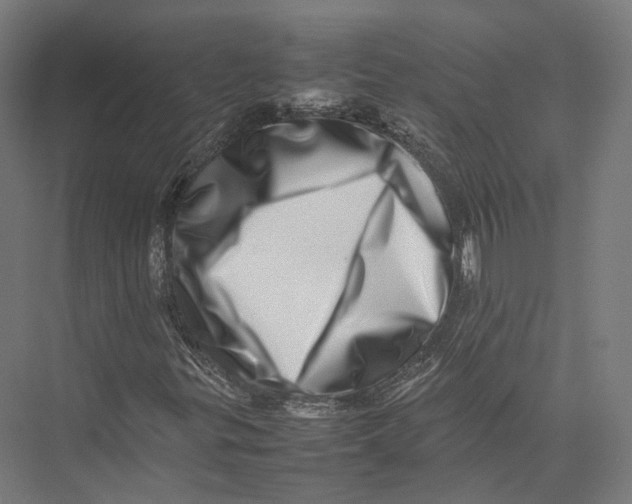 X0000075361299200610061736