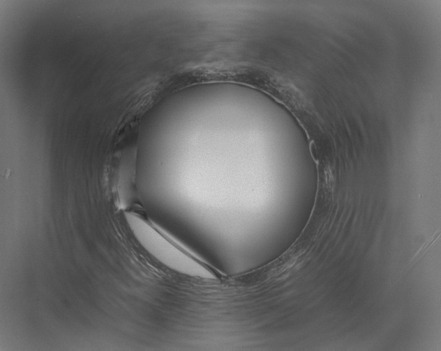 X0000075361300200610061736