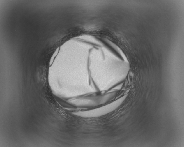 X0000075361301200610061736