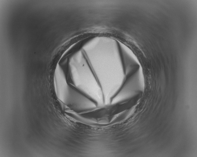 X0000075361304200610061736