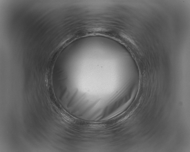 X0000075361305200610061736