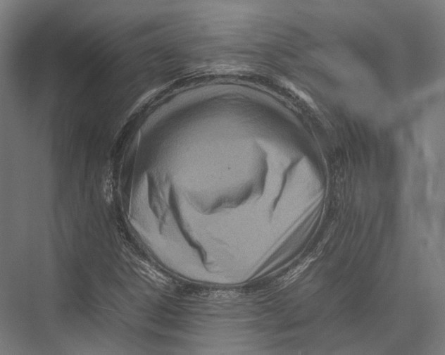 X0000075361306200610061736