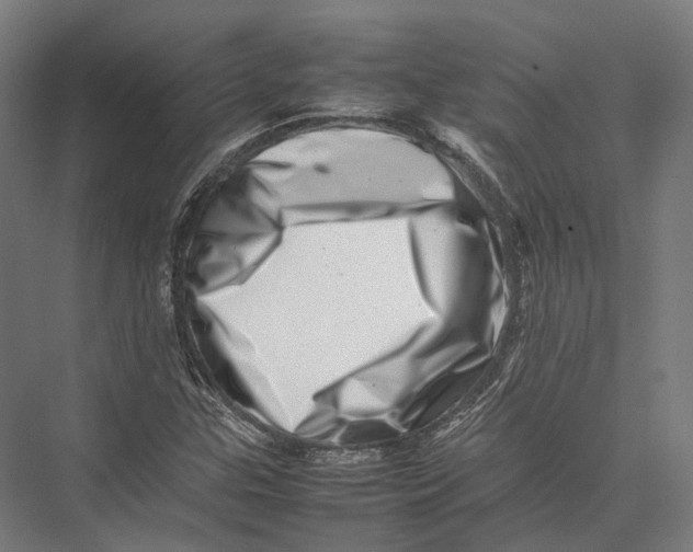 X0000075361307200610061736