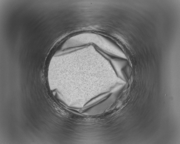 X0000075361308200610061736