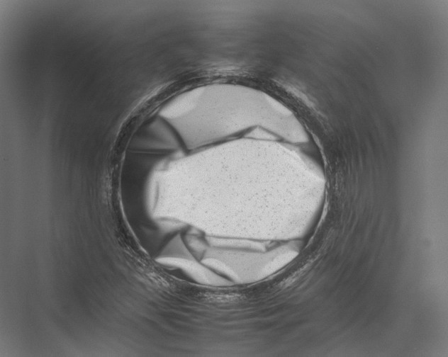 X0000075361309200610061736