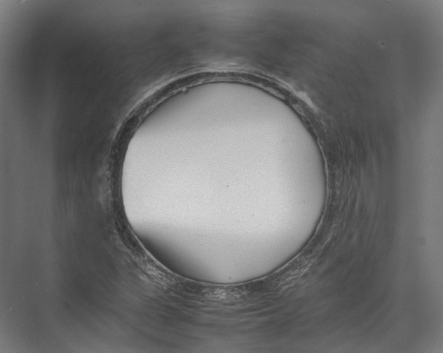 X0000075361311200610061736