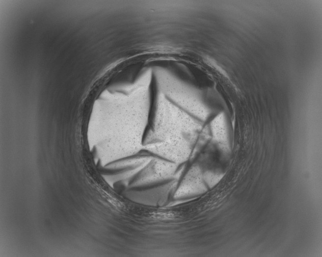 X0000075361315200610061736