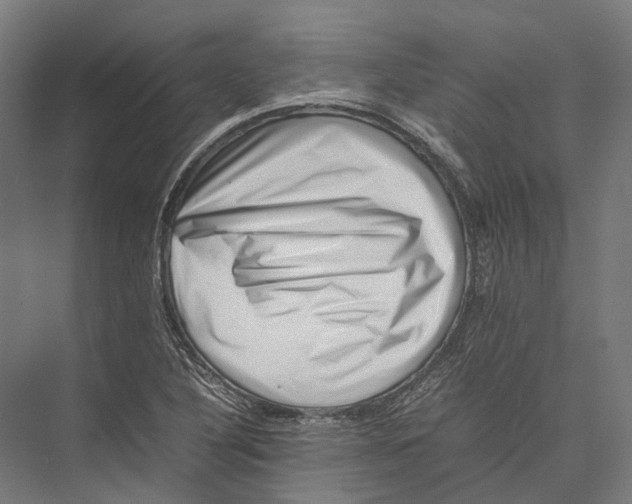 X0000075361316200610061736