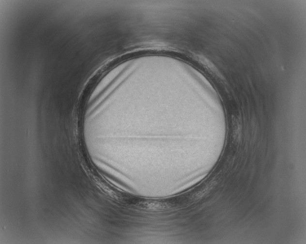 X0000075361318200610061736