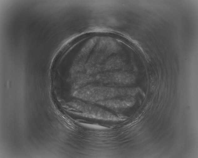 X0000075361319200610061736