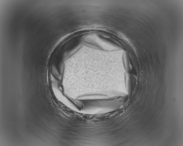 X0000075361320200610061736