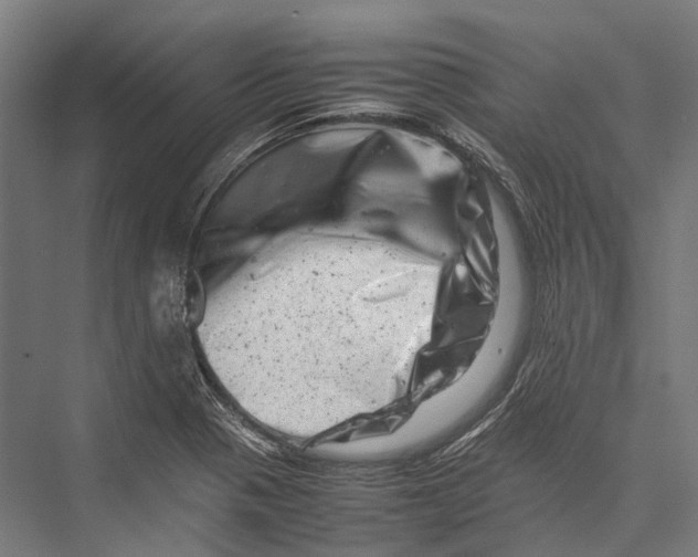 X0000075361321200610061736