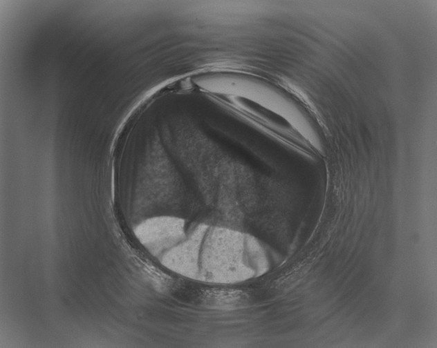 X0000075361323200610061736