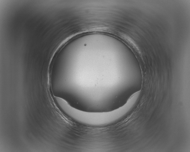 X0000075361324200610061737