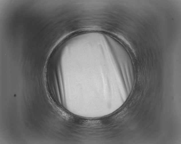 X0000075361325200610061737