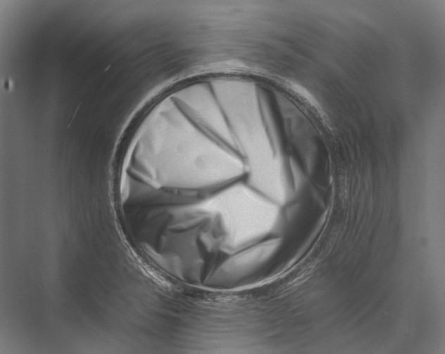 X0000075361326200610061737