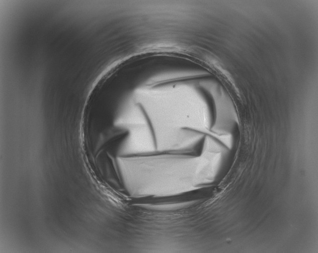 X0000075361328200610061737