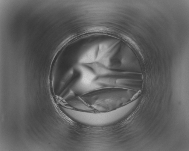 X0000075361330200610061737