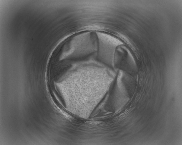 X0000075361331200610061737