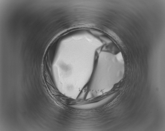 X0000075361332200610061737