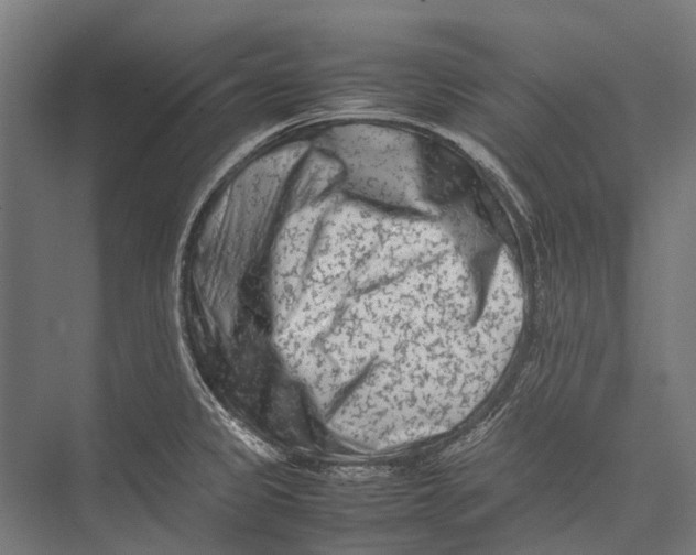 X0000075361333200610061737