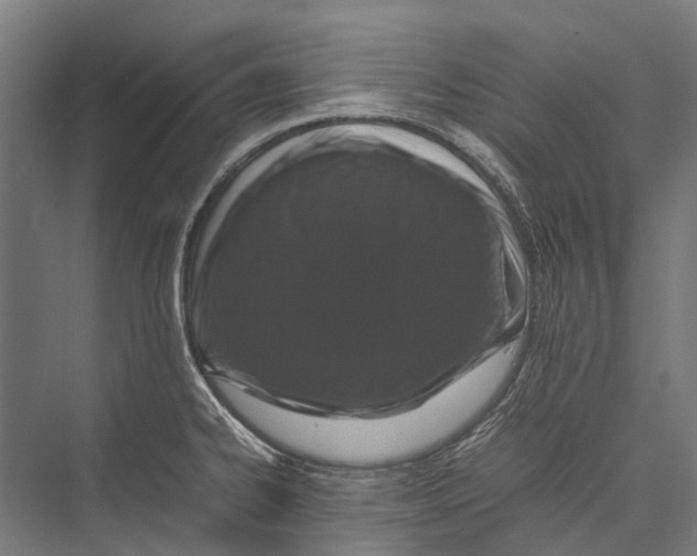 X0000075361334200610061737