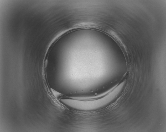 X0000075361336200610061737