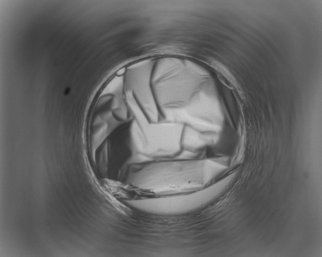 X0000075361339200610061737