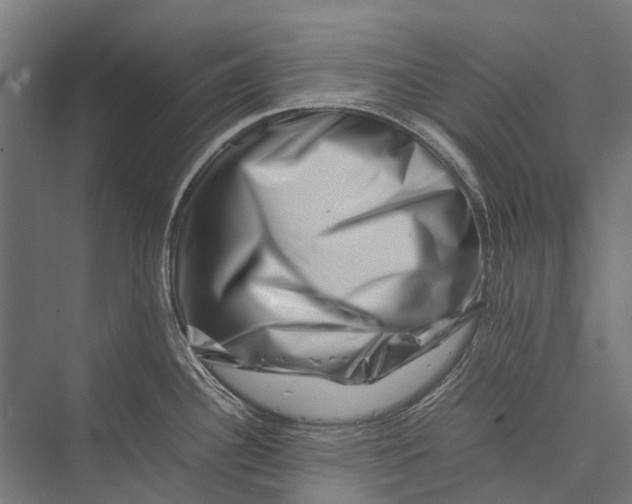 X0000075361340200610061737