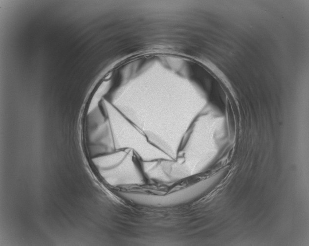 X0000075361341200610061737