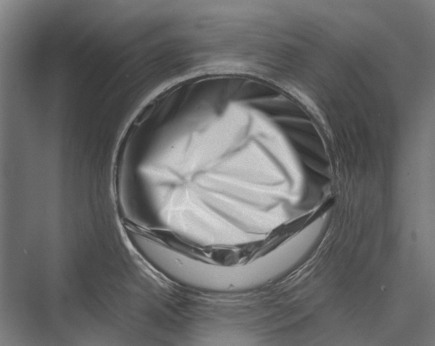 X0000075361342200610061737