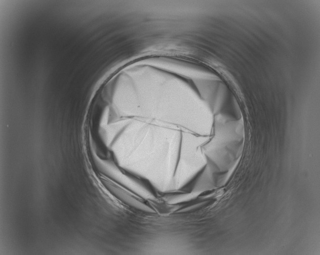 X0000075361344200610061737