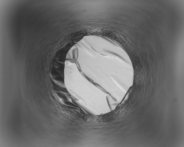 X0000075361345200610061736