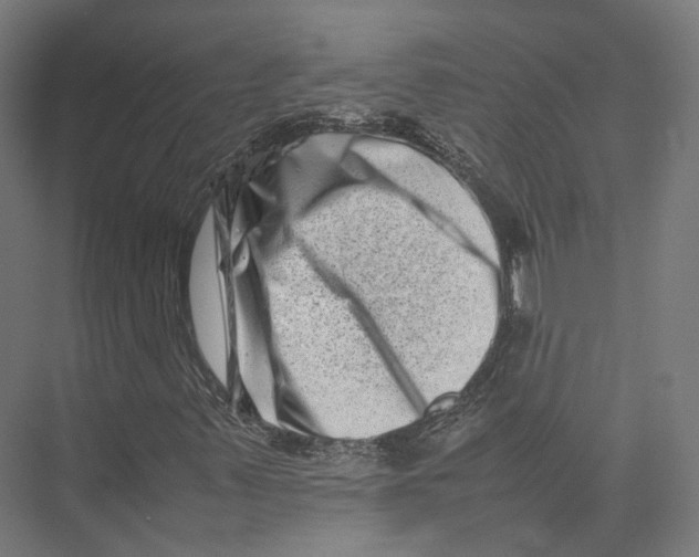 X0000075361347200610061736