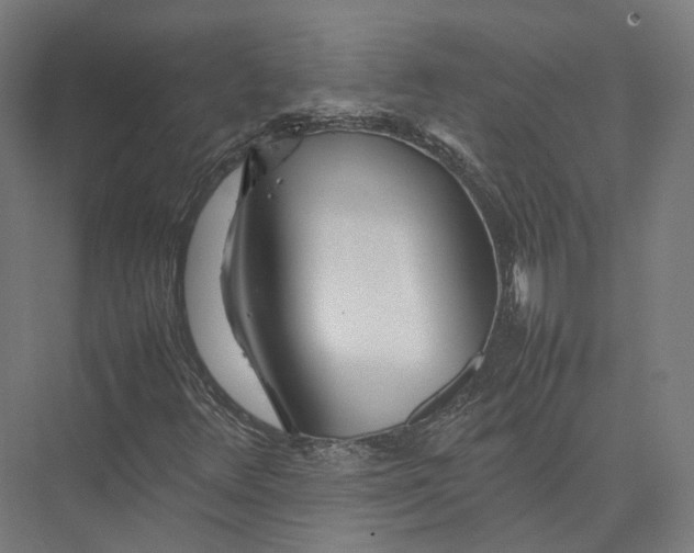 X0000075361348200610061736