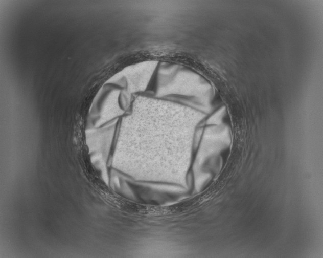 X0000075361349200610061736