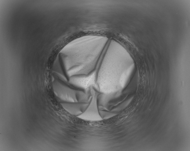 X0000075361350200610061736