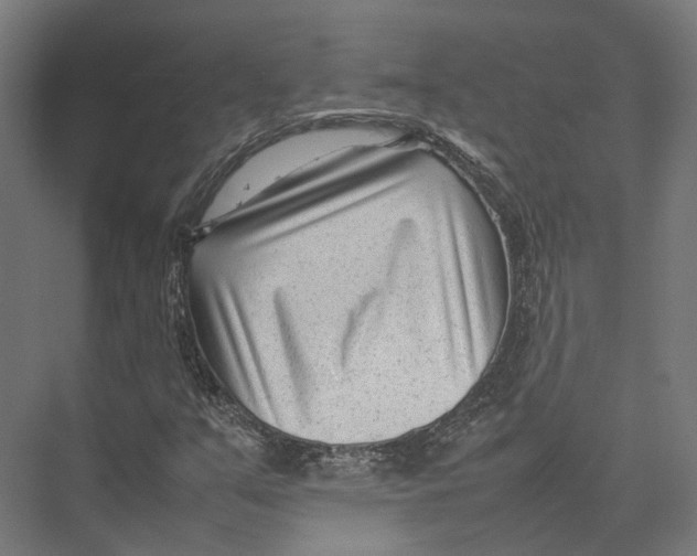 X0000075361351200610061736