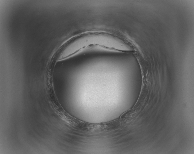 X0000075361352200610061736