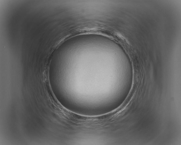 X0000075361353200610061736