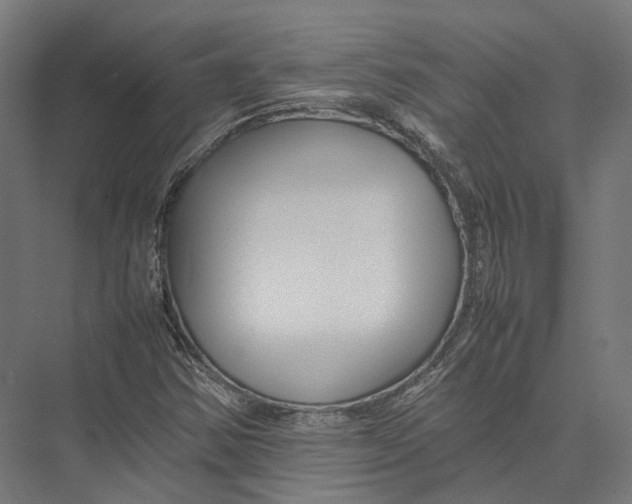 X0000075361354200610061736