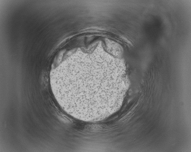 X0000075361355200610061736