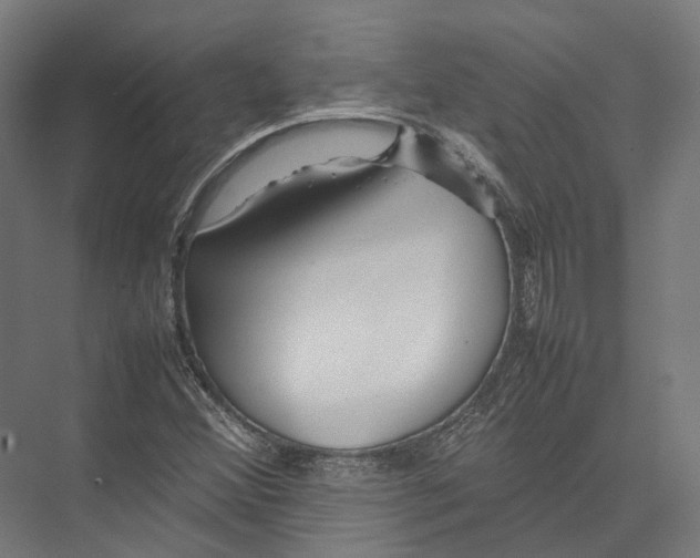 X0000075361356200610061736