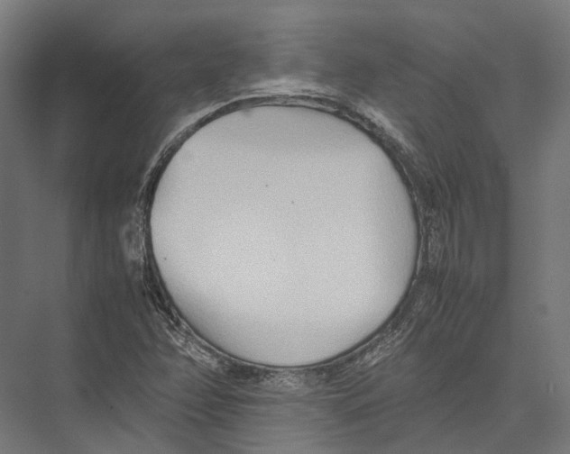 X0000075361358200610061736