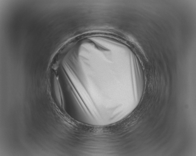 X0000075361360200610061736